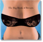 The Big Book Of Breasts PDF