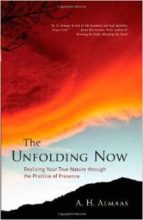 The Unfolding Now: Realizing Your True Nature Through The Practic E Of Presence