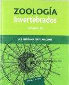 Tratado De Zoologia. Invertebrados