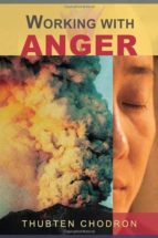 Working With Anger PDF